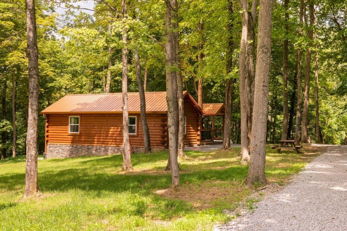 Secluded Wooded Cabin Near The Hocking Hills New Straitsville Luaran gambar